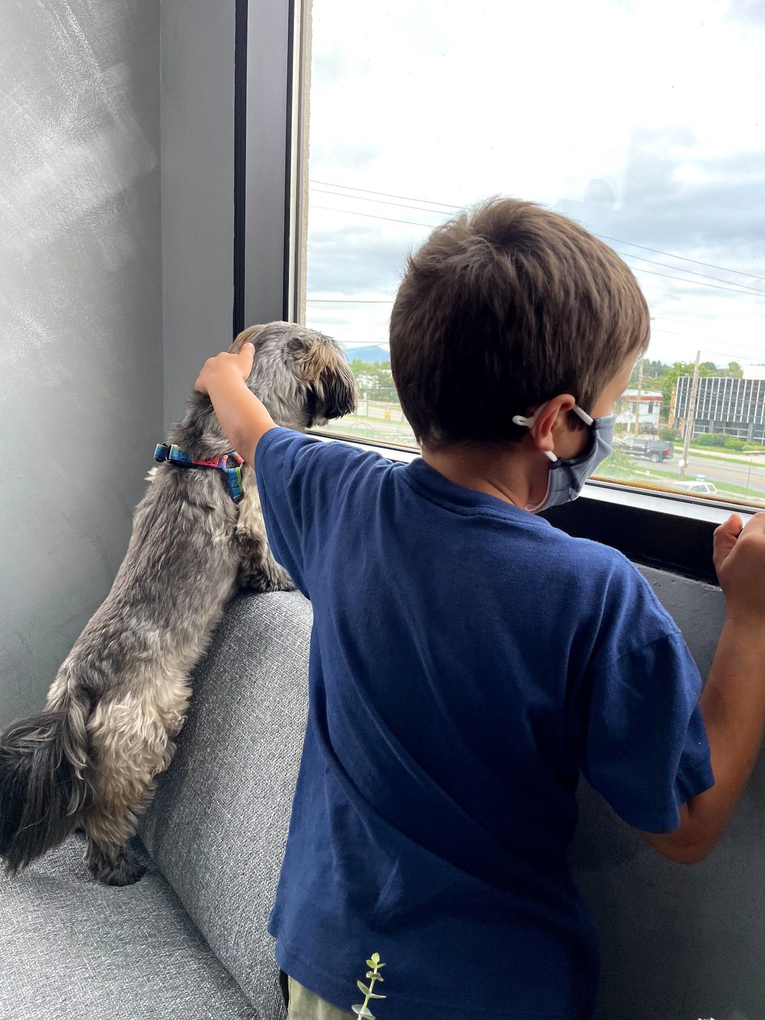 Child and dog looking out clinic window