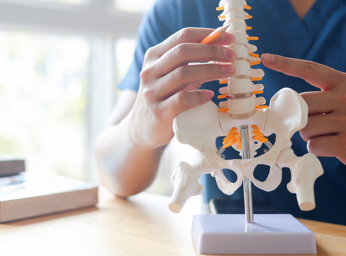 A healthcare professional at Balance Wellspace using a spinal model to explain alignment and posture correction to a patient during a consultation.